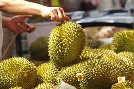 半两财经 | 北京榴莲价格出现“1开头” 今年榴莲价格为何能节节下挫？图片