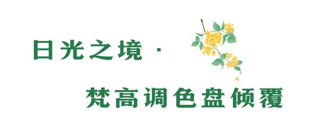 行摄 | 美爆了！秋日花海，限时上映