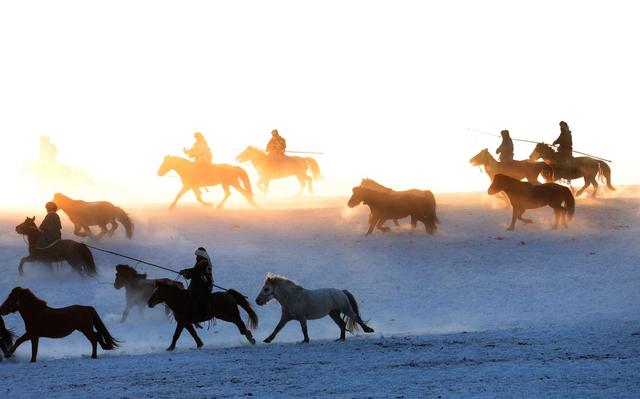 2026年乌兰布统马文化节开幕