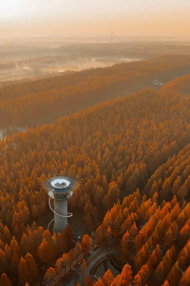 辞家千里又千里，盐城想你很想你