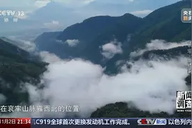 新闻调查丨想你的风吹到了哀牢山 这是一座怎样的山？图片