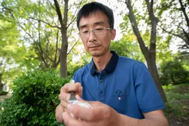 周岳：一枚鸡蛋，方寸成画图片