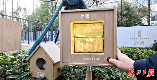 街头建起科普小游园，居民出小区就能学习动植物知识