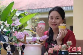 广西公园职工巧手造“永不凋零”的多肉 废弃眼影腮红派用场图片