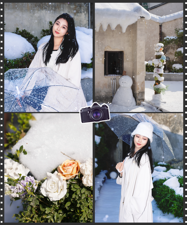 来龙华，看冬天“第一场雪”