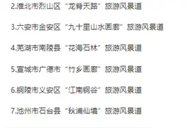 第二批“安徽省旅游风景道” 拟入选名单公示图片