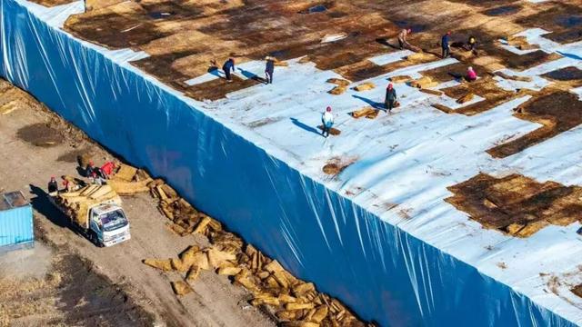 哈尔滨冰雪大世界启动存冰开启准备工作
