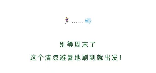 暂别川西！乐山黑竹沟已经美到神仙级！
