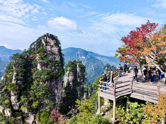 张家界武陵源：层林尽染秋意酣  赴约赏景正当时
