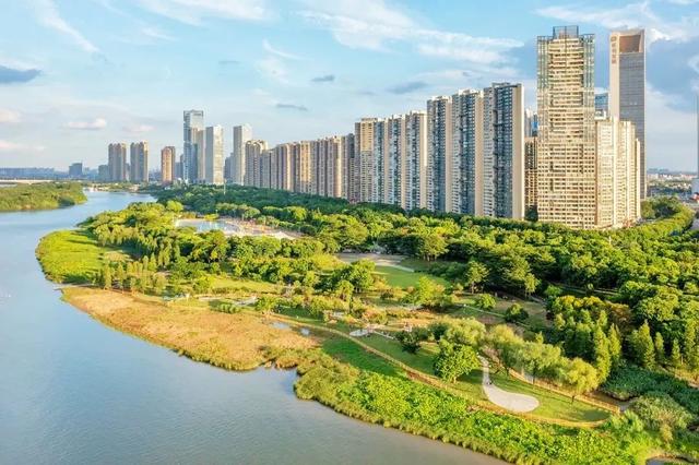 顺德北部创新湾已备好“年味大餐”，游玩攻略→