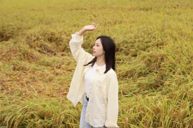 随手拍出电影感！良庆这片金色稻田，美到犯规！