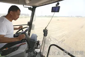 70后山东麦客夫妇“豫漂”收麦：河南人特热情！∣老家割麦了图片