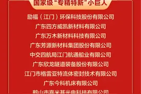 祝贺！江门这些优秀企业获表彰（全名单）图片