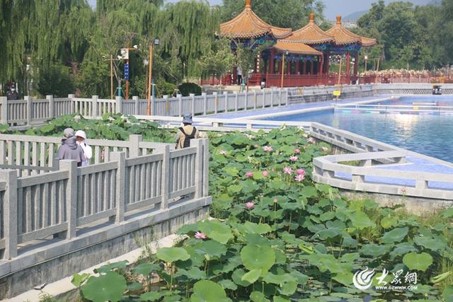 前330名同生辰者免门票！“三月三登泰山·蟠桃会祈平安”主题登山活动启幕