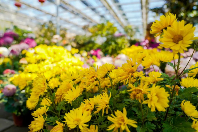 漳县：“美丽经济”带火全域旅游