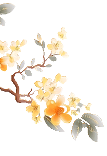 【元旦特辑】叙永县博物馆邀您共赴一场“古韵新禧”的文化之约！