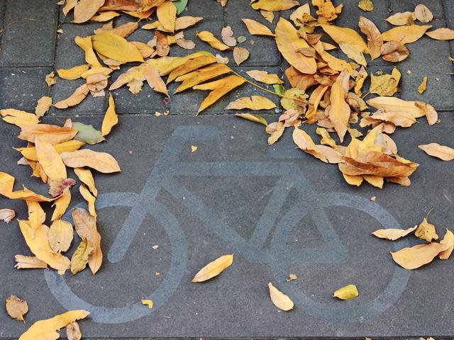 上海街头变身浪漫剧场！“落叶不扫”已上线