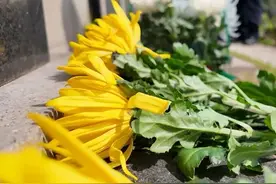清明节前祭先烈 缅怀忠魂砺初心图片