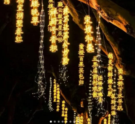 趣味灯谜、祈愿荷灯、湖畔相亲…云东海荷香湖集市即将开启！