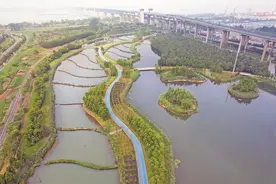 芜湖朱家桥尾水净化生态公园水清岸绿图片
