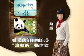 看《我们和牠们》，“治愈系”强体验——访凤凰卫视节目副总裁、中文台执行台长赵微图片