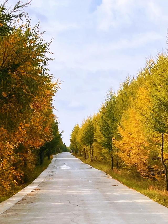 层林尽染，赴一场七彩森林的秋日之约