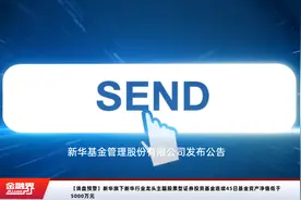 【清盘预警】新华旗下新华行业龙头主题股票型证券投资基金连续45日基金资产净值低于5000万元视频封面