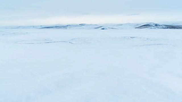 呼伦贝尔冬季，把 “孤独” 酿成浪漫