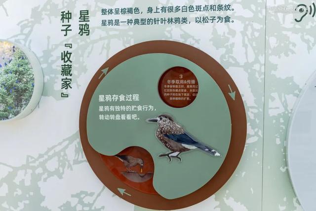 波密零碳自然驿站矩阵落成