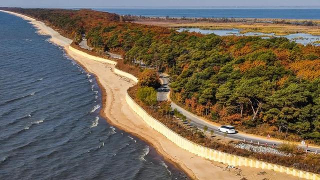 这些地方的红叶,为什么还不红?