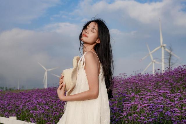 爽爽贵阳 秀美花溪 ｜ 云顶花海马鞭草赏花季，避暑与浪漫共赴