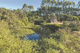 治理黑臭水体，漳浦有方图片