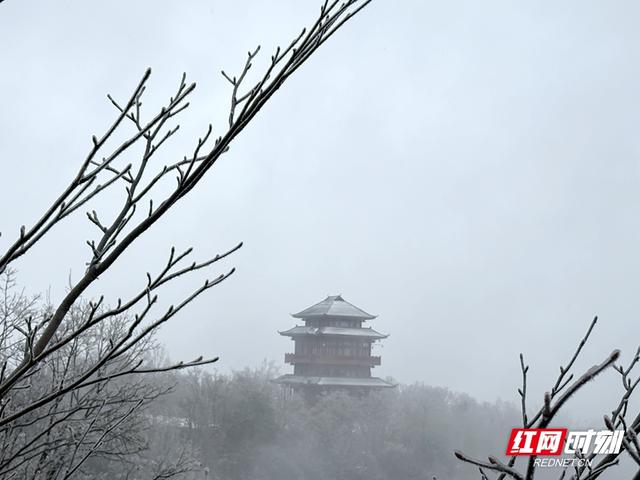 雪落奇峰！张家界把冬天绘成了水墨仙境
