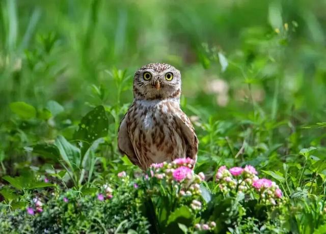 北京冬日限定“奇观”！就到月底！快冲→