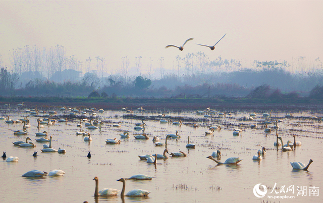 湖南岳阳：山水相依，绘“湘北生态画卷”