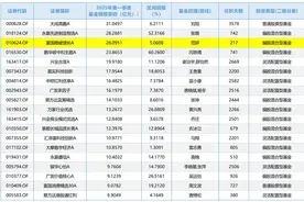 跳槽后接管基金规模暴涨近14倍，公募“明星经理效应”依旧拔群图片