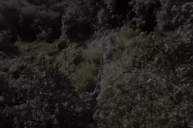 一位106岁老人的漫长等待图片