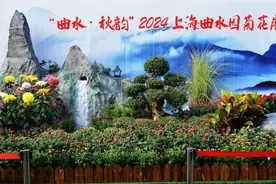 秋色限定～曲水园菊花展开幕啦图片