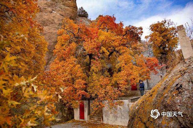 层林尽染 辽宁锦州翠岩山藏古韵