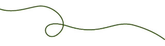“深呼吸”再行动：大湾区旅行商呼和浩特文旅踩线