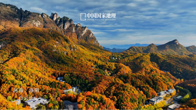 亮相央视！洛阳这些赏秋地，太美！