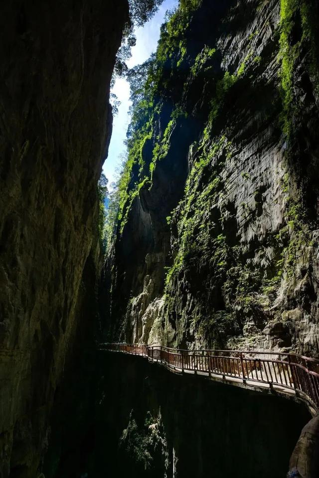 10月班期火爆售罄！三峡最迷人的季节已来……