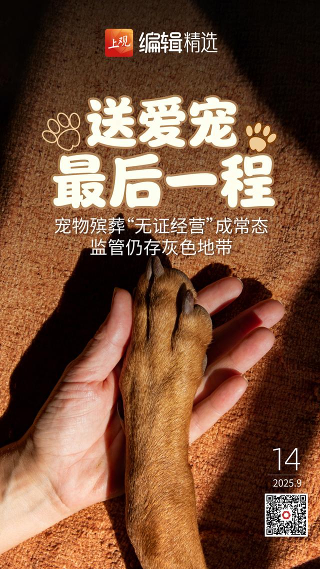 63家景点半价优惠！上海打造开放式沉浸式全域旅游景区
