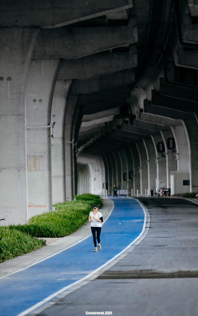 “看牛看海看夜景，深圳骑行路线精选”