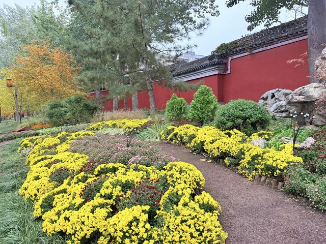 秋日清晨的北京，色彩饱和度拉满！