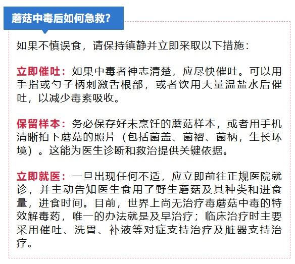 三亚3人中毒，国内首次发现！这种蘑菇千万不能吃！