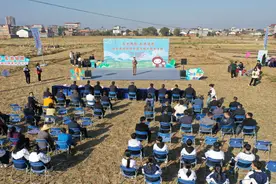 韶关始兴县举行首届马蹄采挖节图片