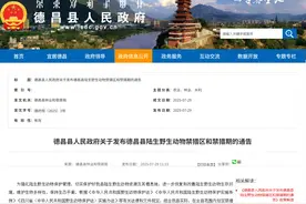 全面禁止！凉山一地发布通告图片