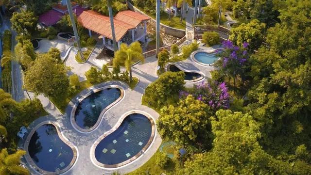 湛江新春怎么玩？山海灯海、温泉祈福…解锁N种年味打开方式