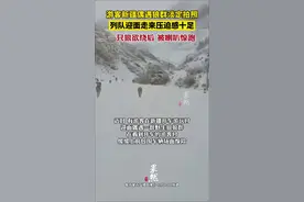 游客新疆偶遇狼群淡定拍照，列队迎面走来压迫感十足，一只狼欲绕后被喇叭惊跑。图片